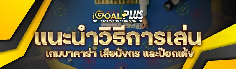 แนะนำวิธีการเล่นเกม บาคาร่า เสือมังกร และป๊อกเด้ง